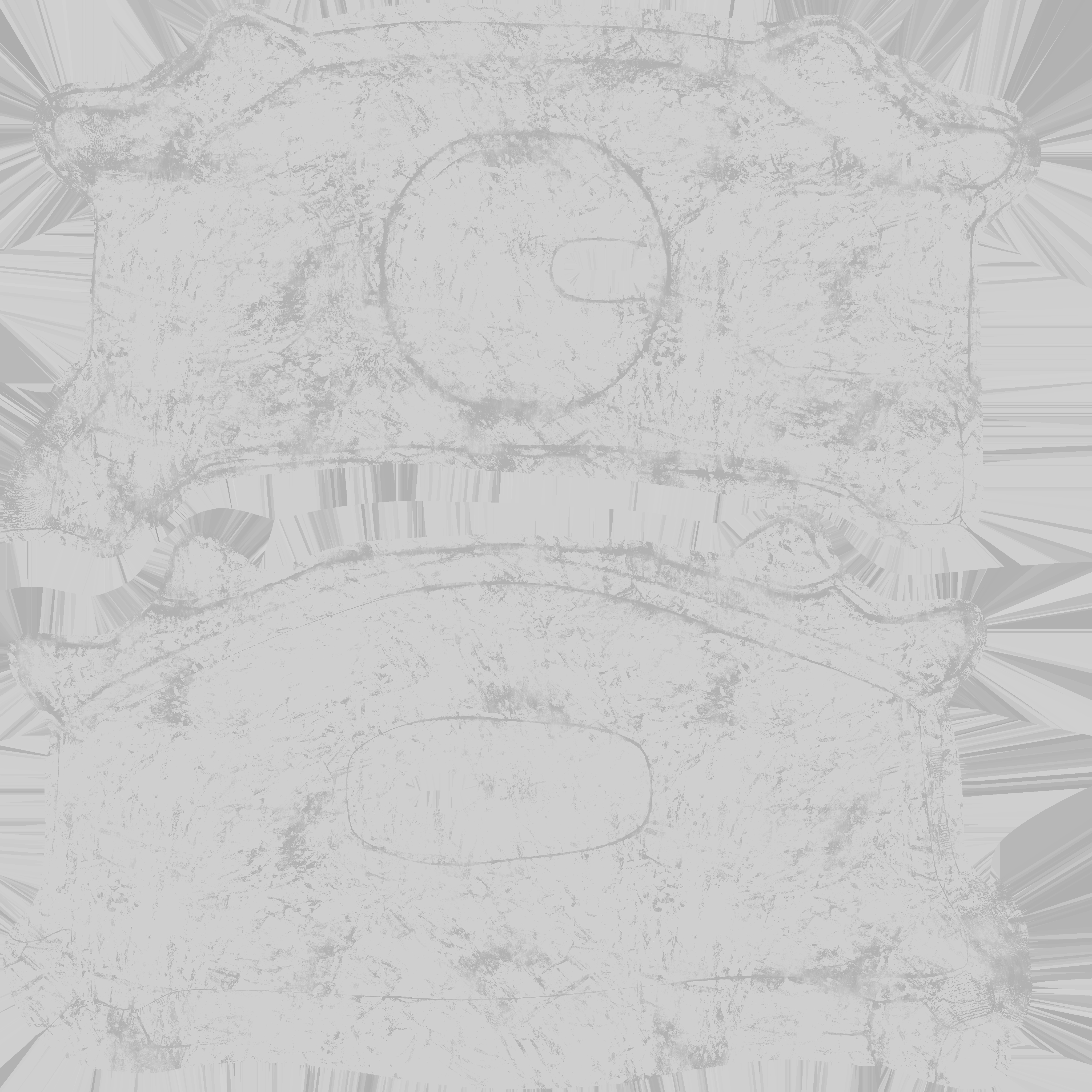 MAXX19 Push Plate_Roughness.png